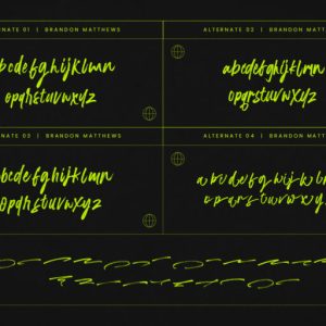 Brandon Matthews Handbrush Script