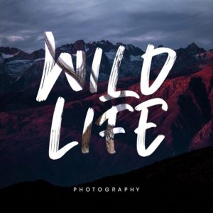 Breaker The Brush Typeface