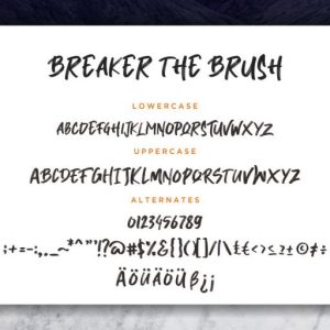 Breaker The Brush Typeface