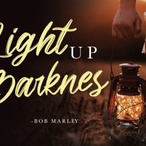 Brighnesy Hand Brush