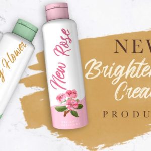 Brighnesy Hand Brush