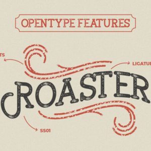 Broster Slab Typeface