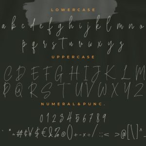 Bucherry Monoline Script