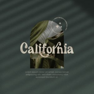 Cherly Blossom Modern Chic Serif