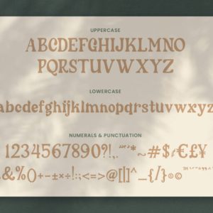 Cherly Blossom Modern Chic Serif