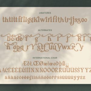 Cherly Blossom Modern Chic Serif