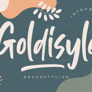 Goldisyle Brush Stylish