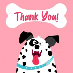 Dalmaspot Dalmatian Spot Typeface