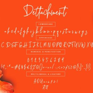 Dettachment Handwritten