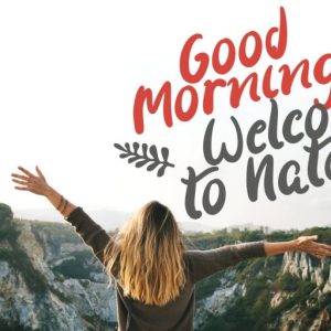 Disnaily Handdrawn Brush