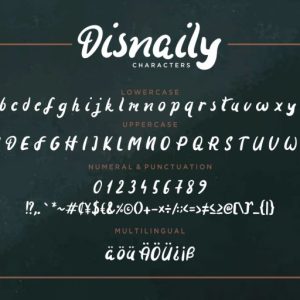 Disnaily Handdrawn Brush