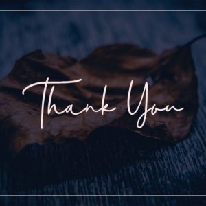 Eleanor Handwritten Script