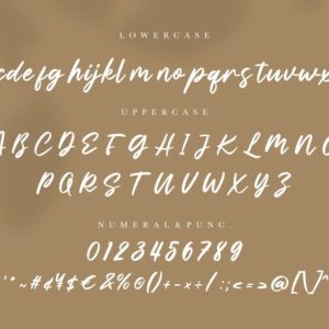 Elisabeth Brush Script