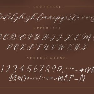 Endless Loveness Beauty Calligraphy