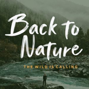 Ganttlets Brush Script