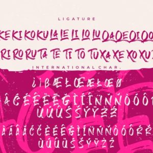 Gebrush Handbrush Stylish