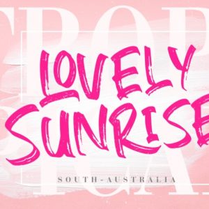 Gebrush Handbrush Stylish