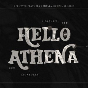 Gentleman Casual Serif