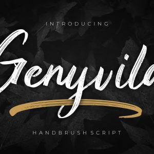 Genyvila Handbrush Business Font