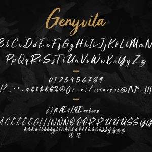 Genyvila Handbrush Business Font