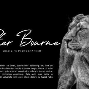 George Signature Classy