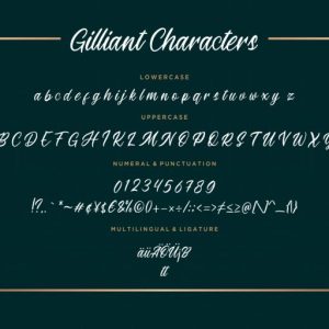 Gilliant Script Typeface
