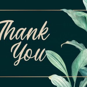 Gilliant Script Typeface