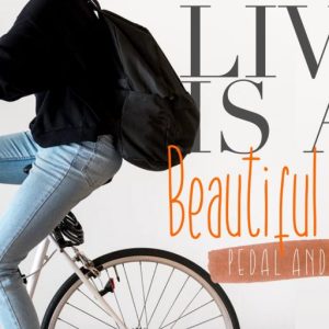 Hai Allison Fun Display