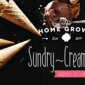 Hai Allison Fun Display