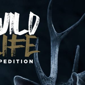 Halowyne Handdrawn Brush