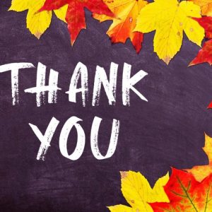 Halowyne Handdrawn Brush