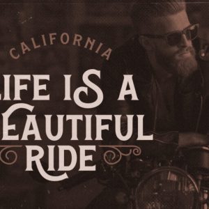 Hamston Display Vintage