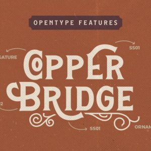 Hamston Display Vintage