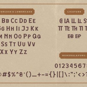 Hamston Display Vintage