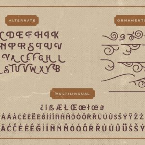 Hamston Display Vintage