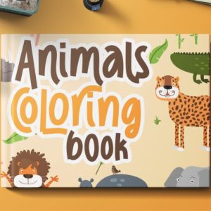 Hancoke Adventure Fun Display