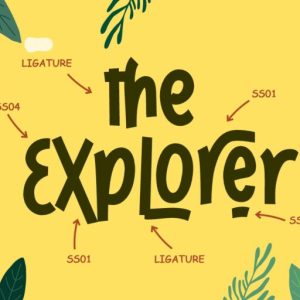 Hancoke Adventure Fun Display