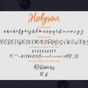 Holyson Calligraphy Brush