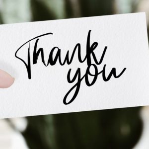 Holyson Calligraphy Brush