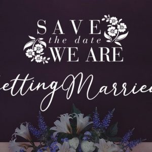 Jelymist Calligraphy Script