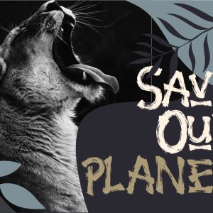 Jungle Handbrush Instagram Font