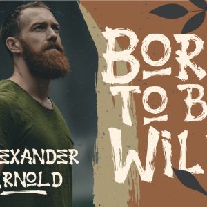 Jungle Handbrush Instagram Font