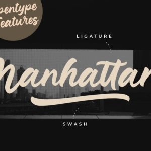 Junkies Style Bold Script