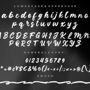 Junkies Style Bold Script