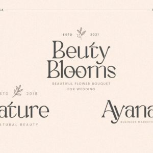 Kallisoka Modern Elegant Serif