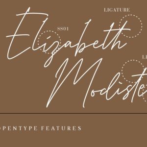 Karllina Handwriting Signature