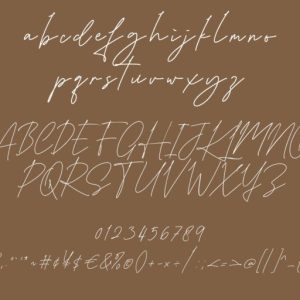 Karllina Handwriting Signature