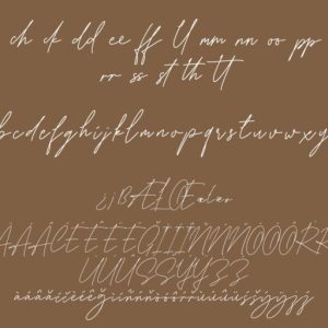 Karllina Handwriting Signature