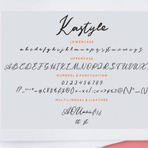Kastyle Signature Brush
