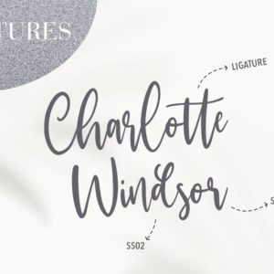 Mackyloo Modern Script